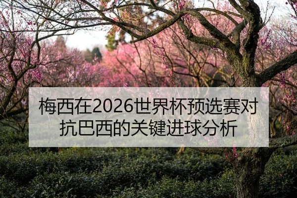 梅西在2026世界杯预选赛对抗巴西的关键进球分析