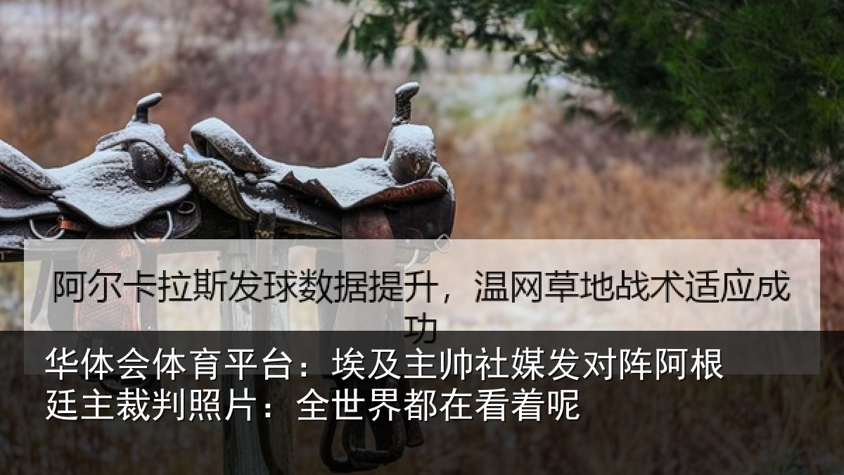 华体会体育平台：埃及主帅社媒发对阵阿根廷主裁判照片：全世界都在看着呢