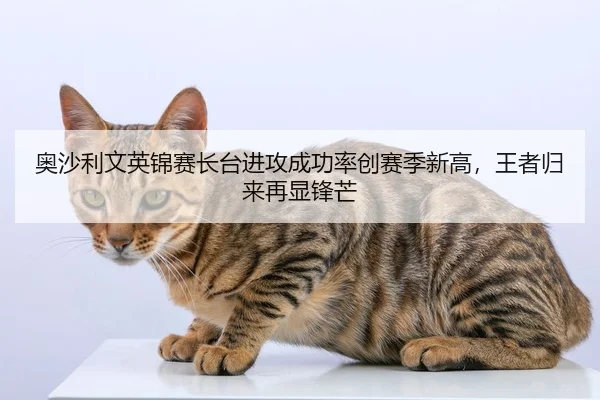 奥沙利文英锦赛长台进攻成功率创赛季新高，王者归来再显锋芒