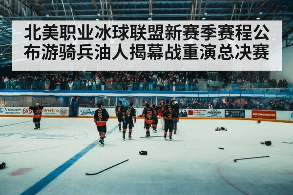 ice hockey arena crowd