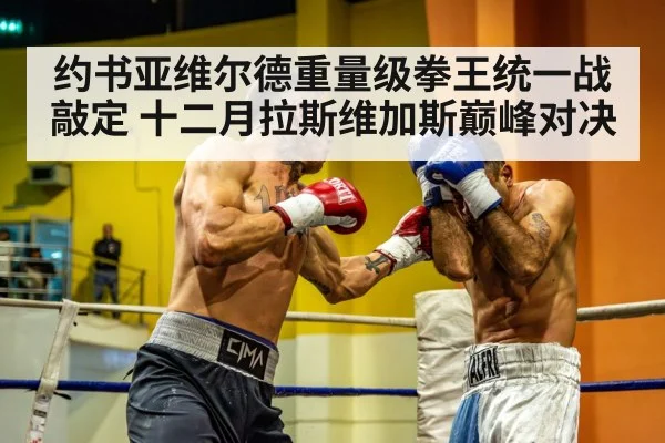 约书亚维尔德重量级拳王统一战敲定 十二月拉斯维加斯巅峰对决