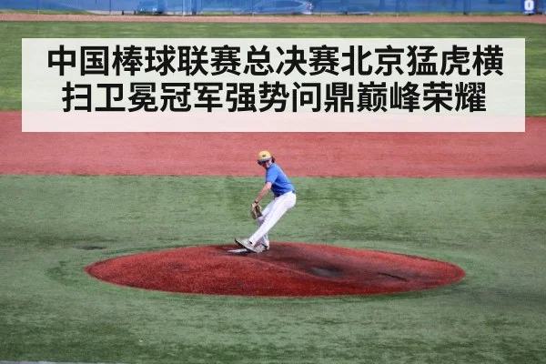 中国棒球联赛总决赛北京猛虎横扫卫冕冠军强势问鼎巅峰荣耀